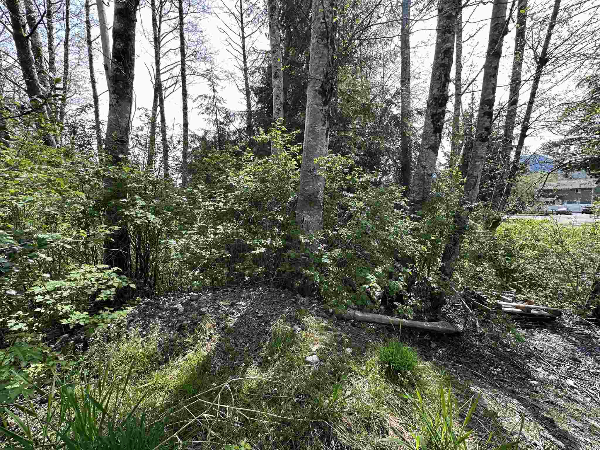 Land in Ketchikan 5