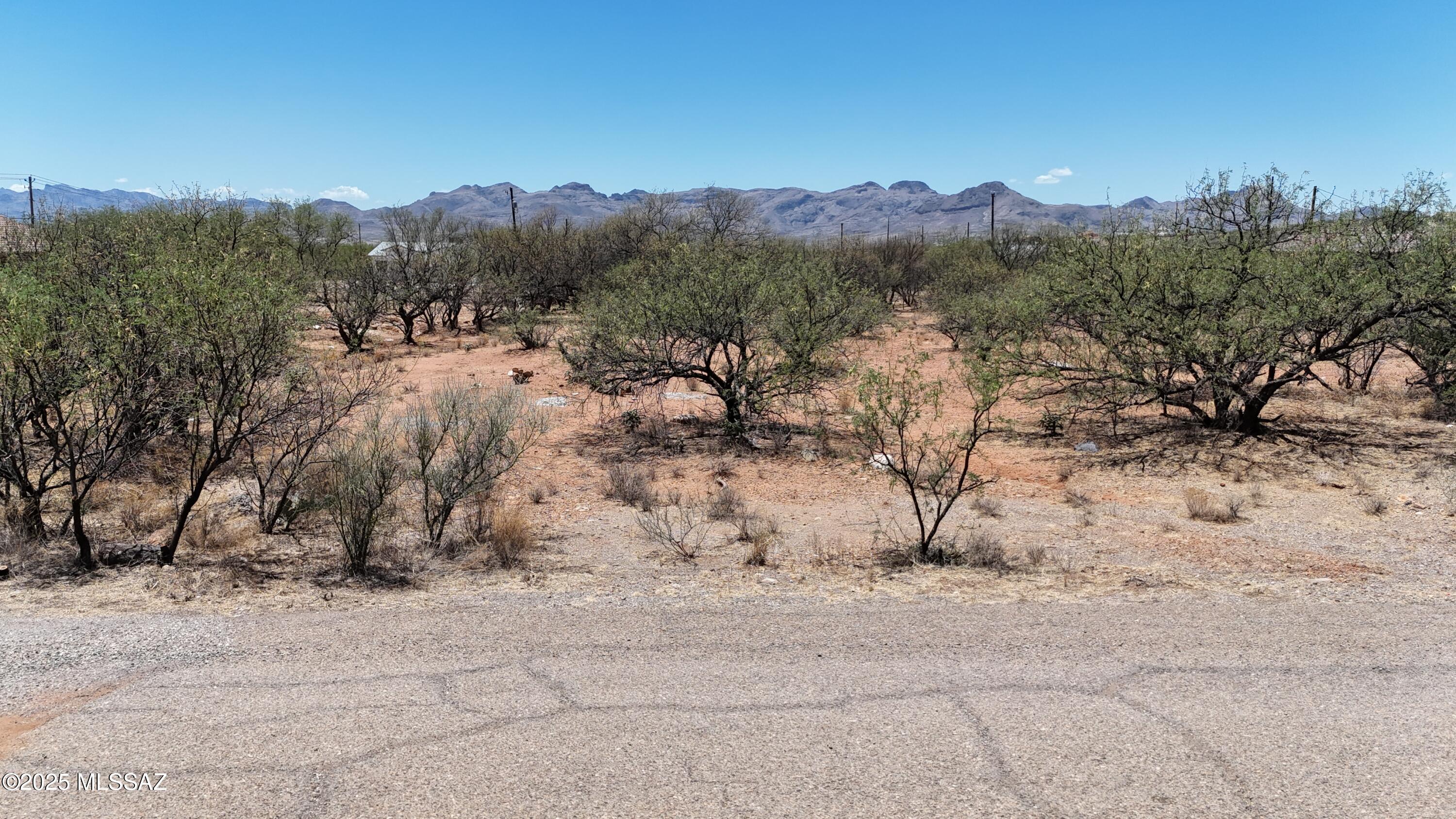 Land in Rio Rico