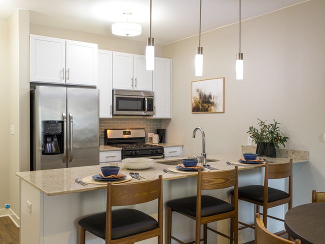APT-543 - 255 N Addison Ave, Condo with 2 bedrooms, 2 bathrooms and 332 parking in Elmhurst IL | Image 13