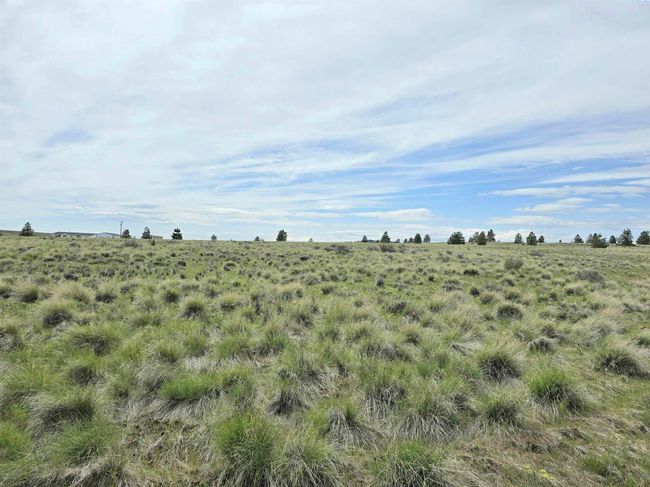 183 Middle Rd, Home with 0 bedrooms, 0 bathrooms and null parking in Bickleton WA | Image 8