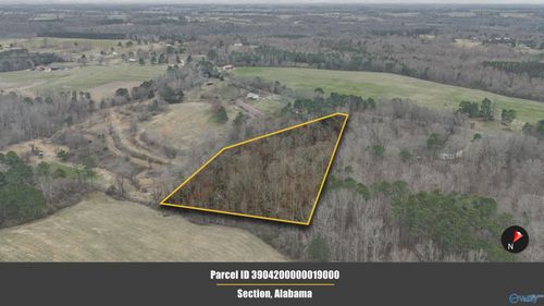 5 ACRES County Road 49, Section, AL, 35771 | Card Image