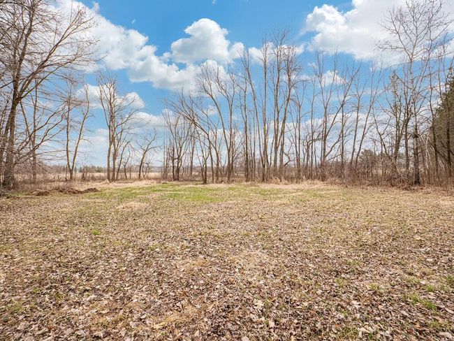 28925 Durant St NE Isanti MN 55040 USA-030-036-Back Yard-MLS_Size.jpg | Image 30