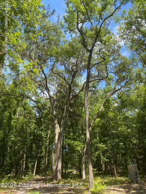 0 Snow Memorial Hwy, BROOKSVILLE, FL, 34601 | Card Image