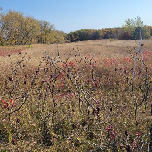 TBD 447th Ave, Ottertail, MN, 56571 | Card Image