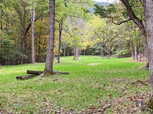 81.5 Acres Hopkins Gap Rd, FULKS RUN, VA, 22830 | Card Image