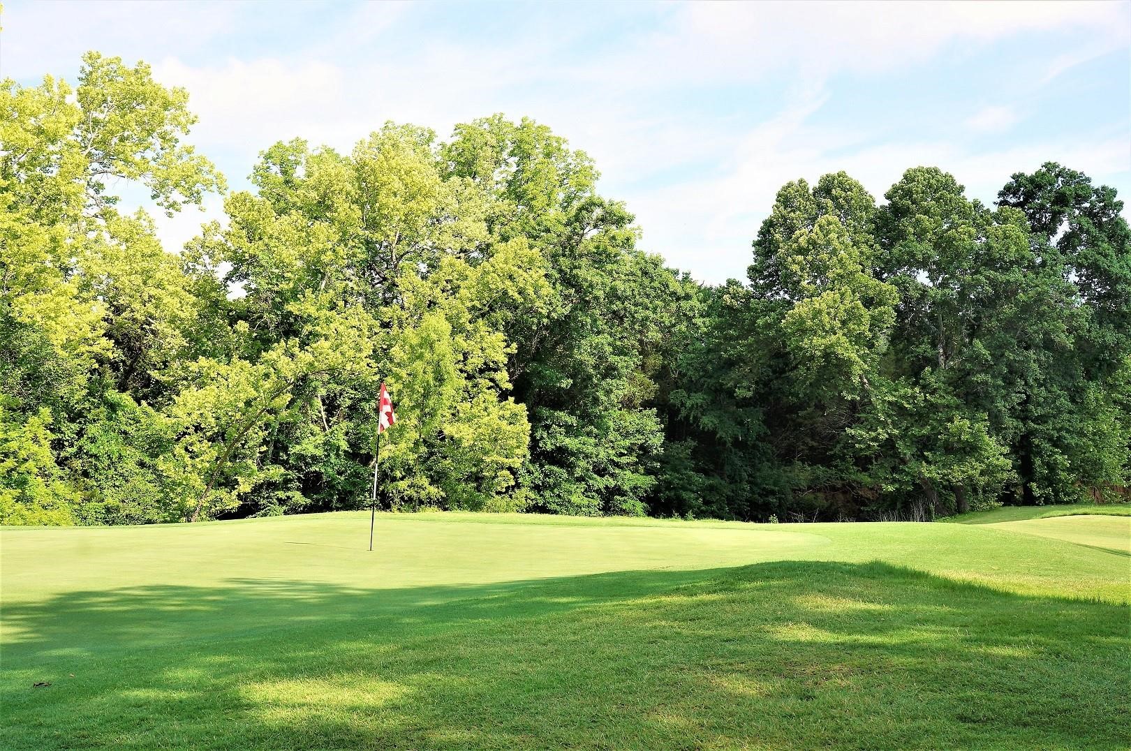 Land in Gordonville 5