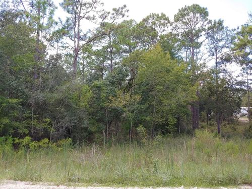 TBD Nw 150th Ave, MORRISTON, FL, 32668 | Card Image