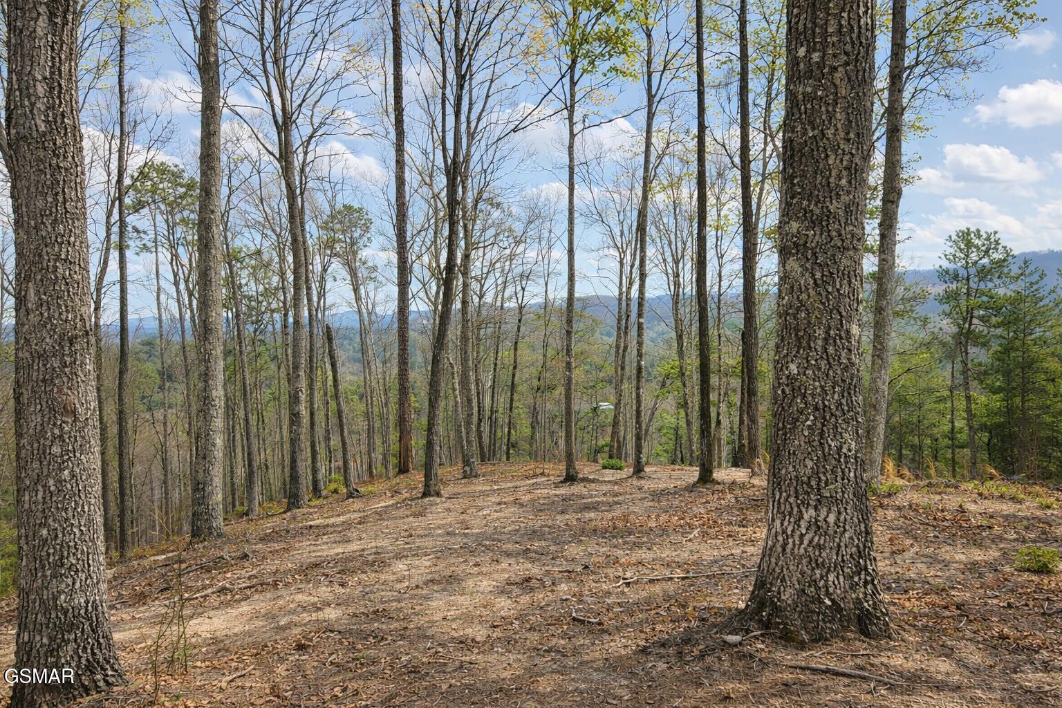 Land in Sevierville 5