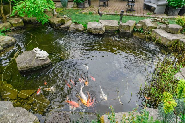 Exterior view of a small pond | Image 26