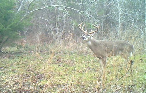 3324 Nw County Road 3206, Dawson, TX, 76639-3132 | Card Image