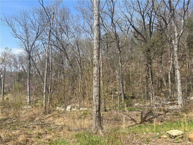 783 Nc 8400, House other with 2 bedrooms, 1 bathrooms and null parking in Jasper AR | Image 30