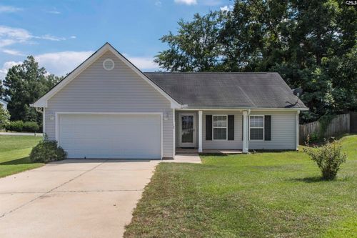 309 Cutter Ct, Chapin, SC, 29036-7615 | Card Image