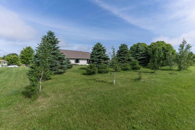Backyard | Image 9