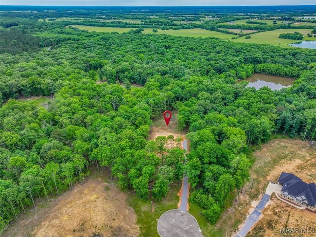 181 Hickory Hollow Ln, Home with 0 bedrooms, 0 bathrooms and null parking in Cecil AL | Image 6