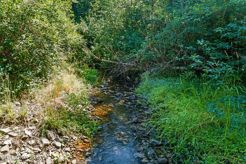 3794 S Elk Rd, Harrison, ID, 83833-5002 | Card Image