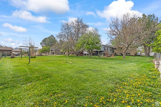 View of yard | Image 29