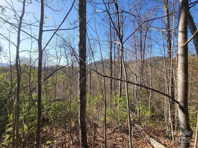 9999 Wayehutta Rd, Home with 0 bedrooms, 0 bathrooms and null parking in Cullowhee NC | Image 7