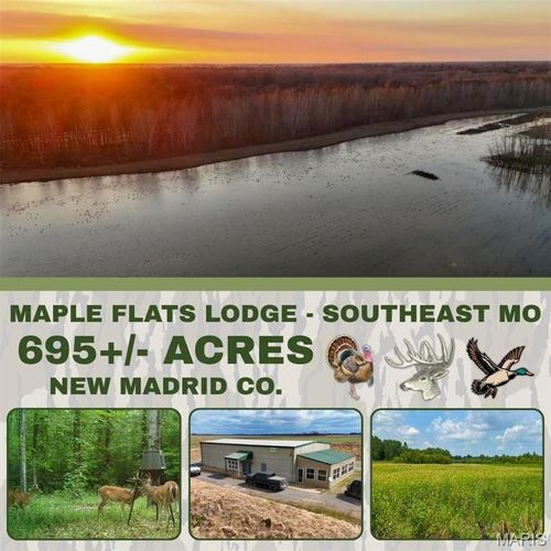 1608 County Road 711, Matthews, MO, 63867 | Card Image