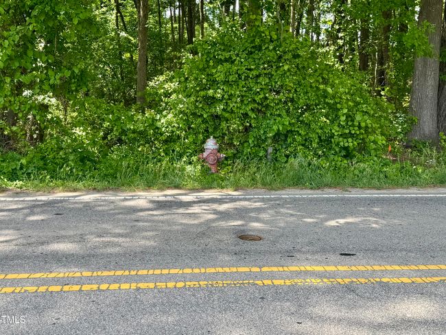 Fire Hydrant - 1821 S. Mineral Springs R | Image 6