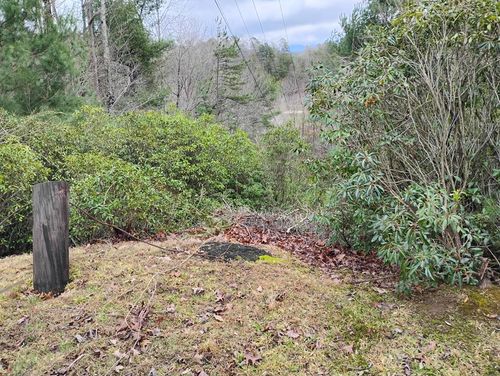 Lt 166 Shenendoa Dr., Ellijay, GA, 30540 | Card Image