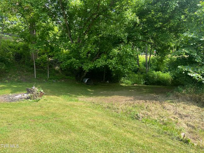 861 Hickory Tree Rd, House other with 3 bedrooms, 2 bathrooms and null parking in Bristol TN | Image 11