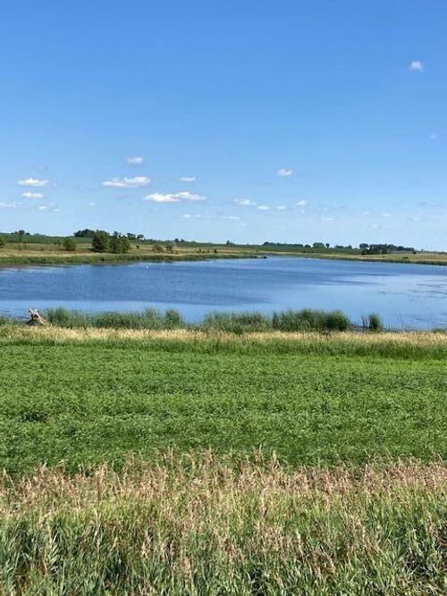 XXX 540th Avenue, Alberta, MN, 56207 | Card Image