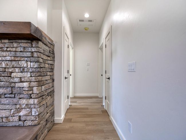 1168 Paper Birch-27 | Image 28