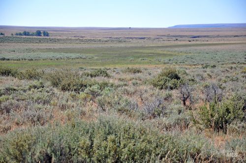 TBD Mud Flat Rd, Grand View, ID, 83624 | Card Image