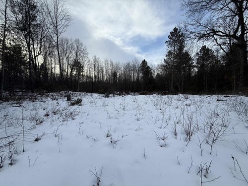 W1561 Hawks Nest Trail, Menominee, WI, 54135 | Card Image