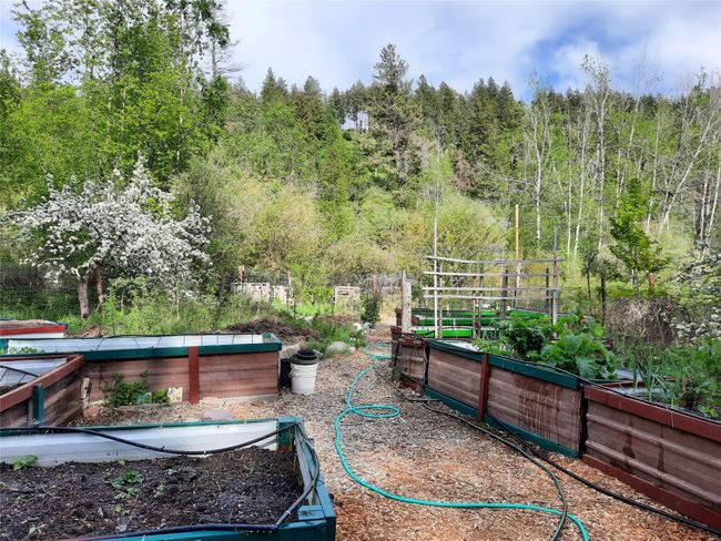 View of patio / terrace with a garden and a view of trees | Image 105