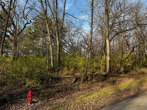 107 Maple Ln, Dixon, IL, 61021-8986 | Card Image