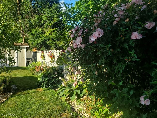 3019 Ruby Ave, House other with 4 bedrooms, 2 bathrooms and null parking in Cleveland OH | Image 10