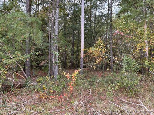 Lot 1 Midway Rd, Rowland, NC, 28383-9169 | Card Image