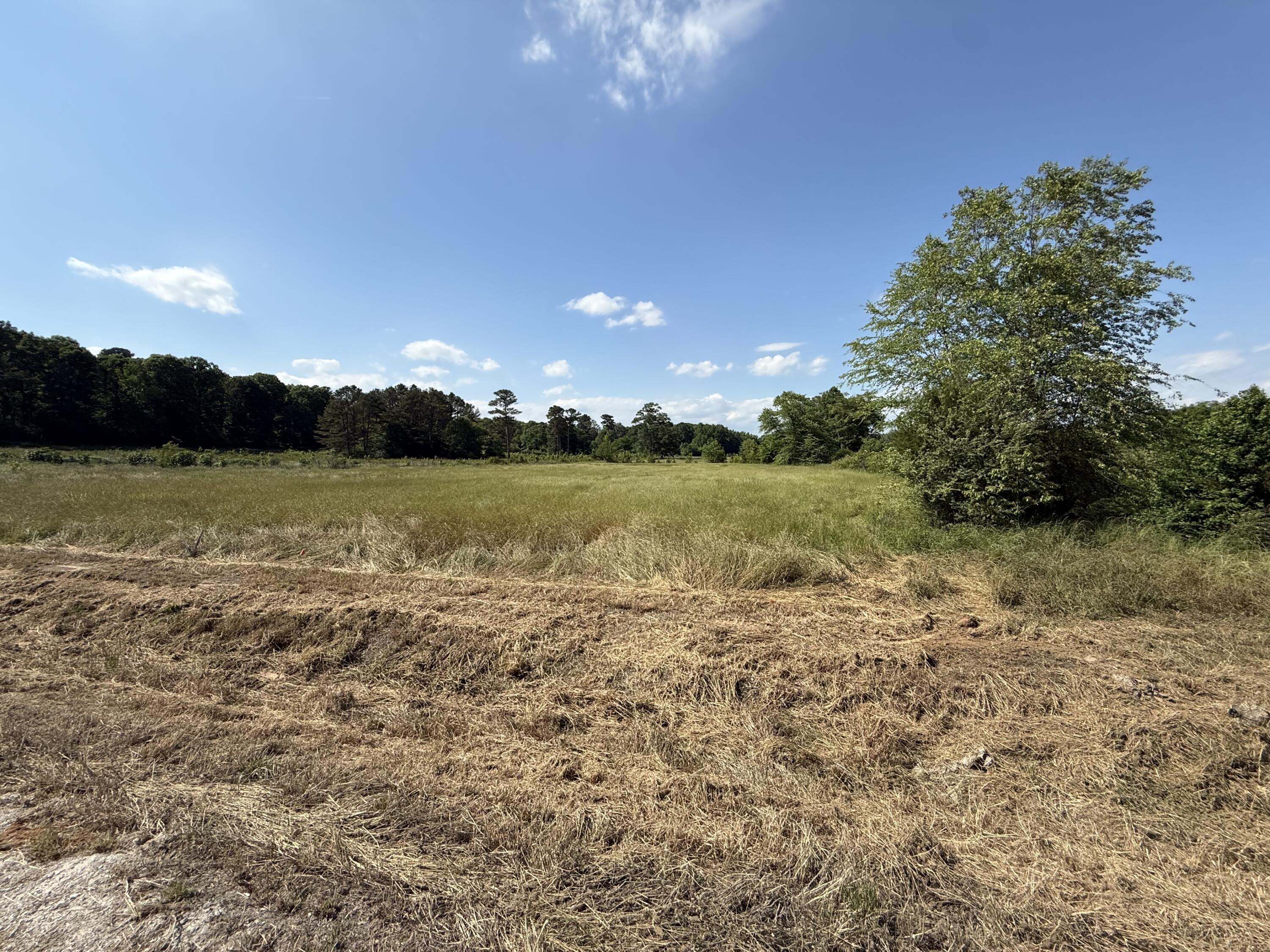 Land in Fulton 3