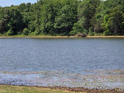 L-11, B-9 N Lake Drive, Horseshoe Bend, AR, 72512 | Card Image