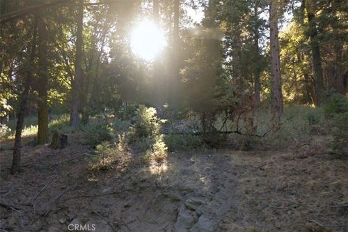 20 Burnt Mill Canyon Rd, Cedarpines Park, CA, 92322 | Card Image