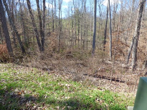 Lot 23 Bridgewater Blvd, Morristown, TN, 37814 | Card Image
