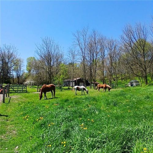 535 Mcdowell Rd E, Simcoe, ON, N3Y4J9 | Card Image