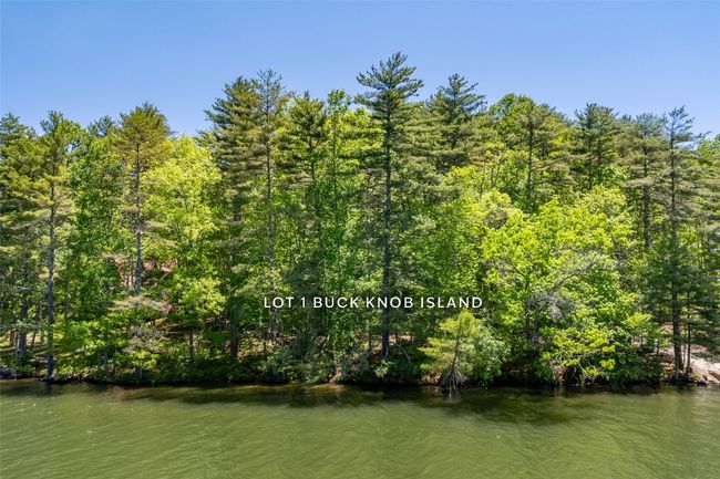 1 Buck Knob Is, Home with 0 bedrooms, 0 bathrooms and null parking in Glenville NC | Image 5