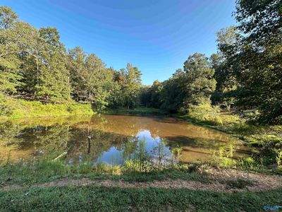 20 Acres County Road 432, Home with 0 bedrooms, 0 bathrooms and null parking in Fyffe AL | Image 2