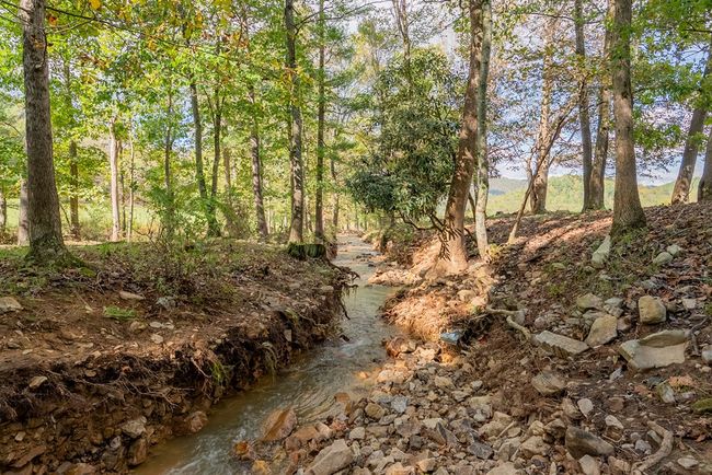 214 Comers Creek Rd, Home with 0 bedrooms, 0 bathrooms and null parking in Sugar Grove VA | Image 53