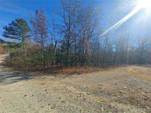0 Rue Chapelle, Bonne Terre, MO, 63628 | Card Image