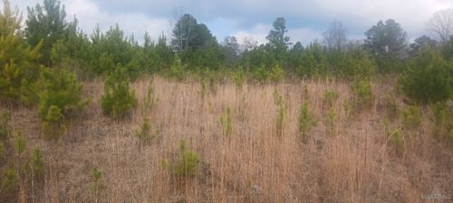 60 County Road 494, Verbena, AL, 36091-4200 | Card Image