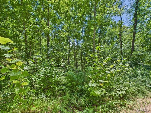 333 Wayne 521a, Wappapello, MO, 63966 | Card Image