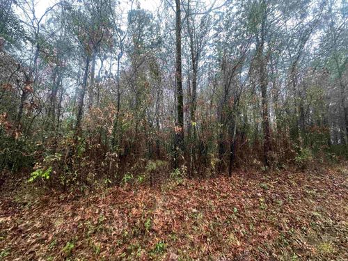 TBD Dogwood Dr, Sheridan, AR, 72150 | Card Image