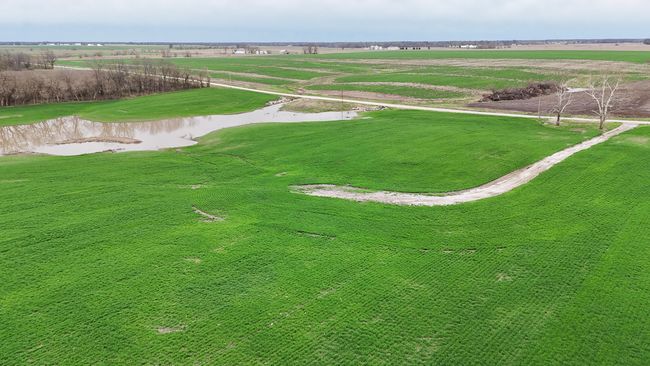 Aerial View | Image 20