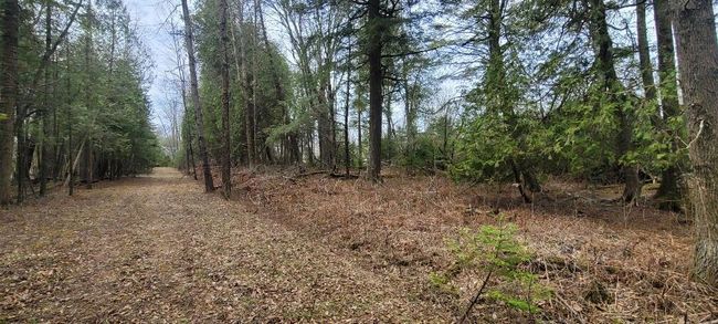 Lt0 E State Highway M35, Home with 0 bedrooms, 0 bathrooms and null parking in INGALLSTON MI | Image 21