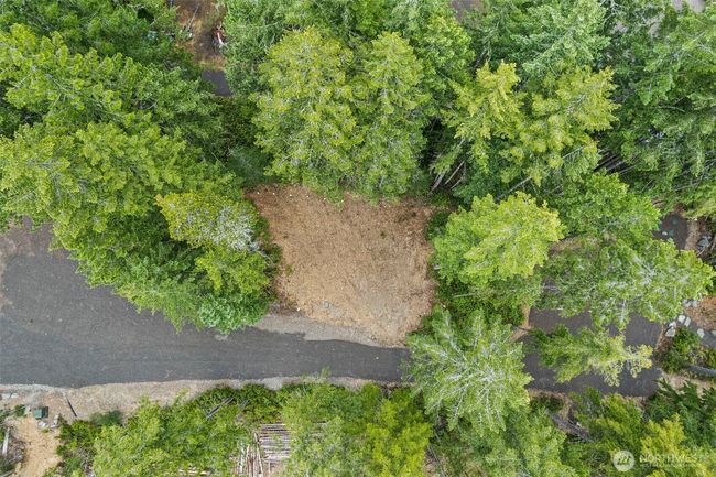 The drainfield. | Image 31