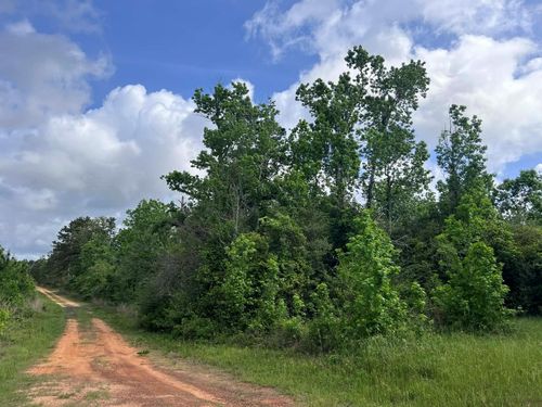 000 County Road 2041, Newton, TX, 75966 | Card Image