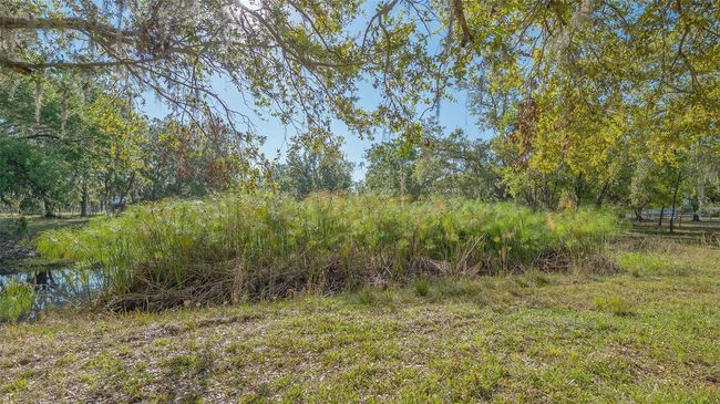 2230 Myakka Rd, House other with 2 bedrooms, 1 bathrooms and null parking in Sarasota FL | Image 54